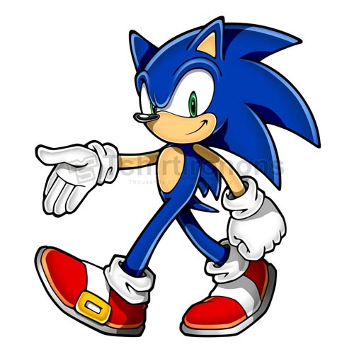 Sonic the Hedgehog T-shirts Iron On Transfers N7946 - Click Image to Close